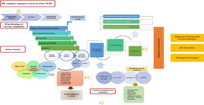 Advanced vaccinomic, immunoinformatic, and molecular modeling strategies for designing Multi- epitope vaccines against the Enterobacter cloacae complex